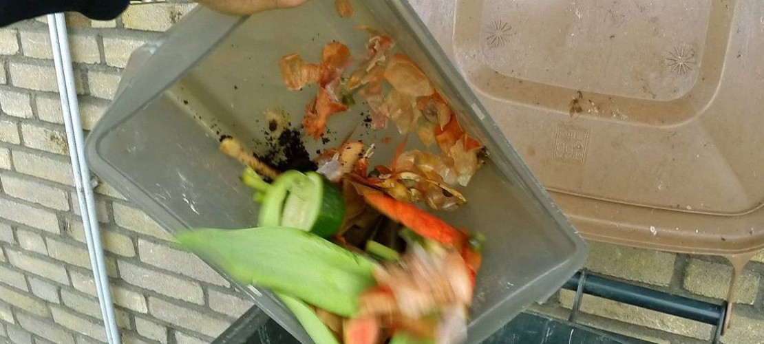 Was passiert mit Bio-Müll?