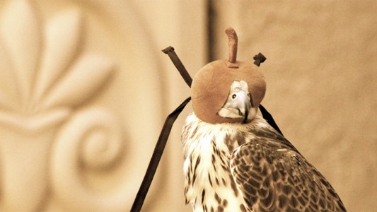 Falke