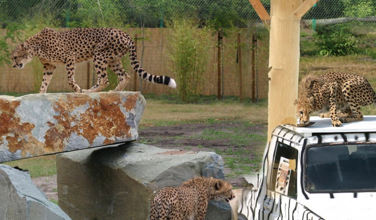 Safaripark in Stukenbrock
