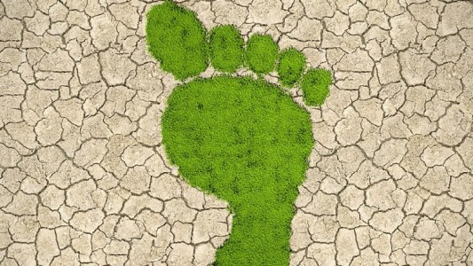 Was bedeutet Biodiversität?