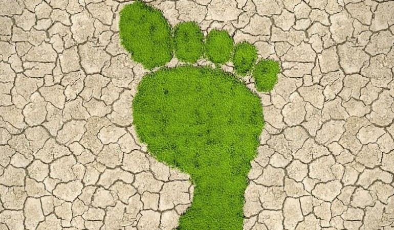 Was bedeutet Biodiversität?