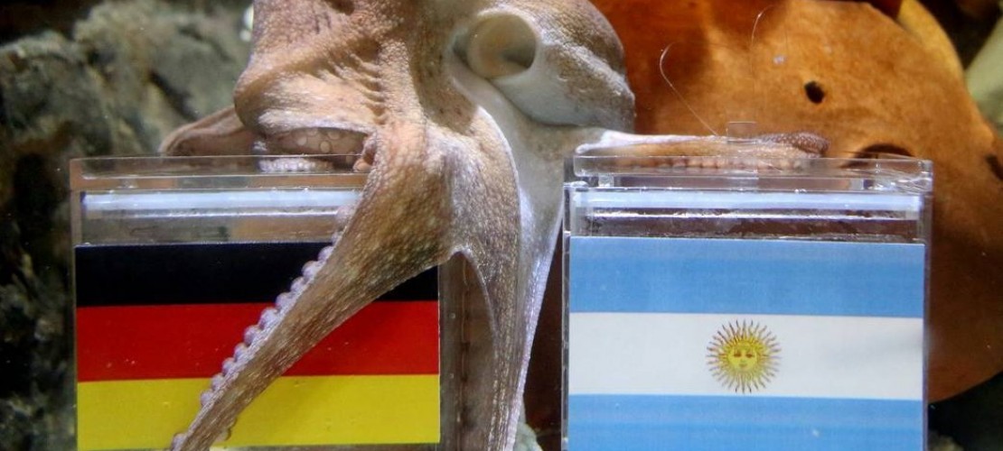 Finale-Fakten zum Angeben