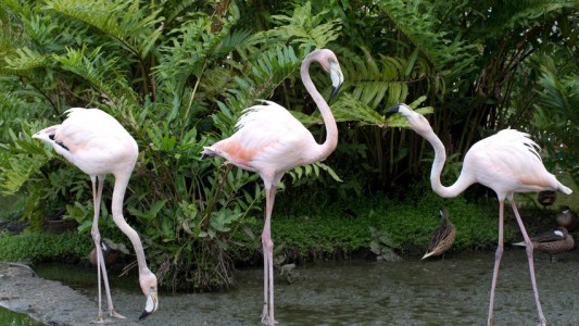 Ausflug zu den Tieren
