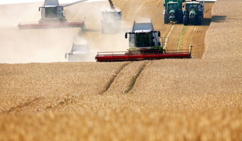 Bereit für die Ernte