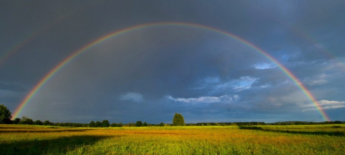 Wie entsteht ein Regenbogen?