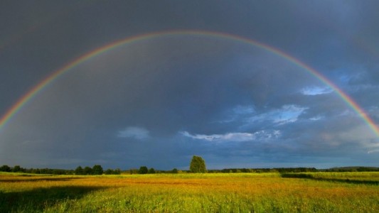 Wie entsteht ein Regenbogen?