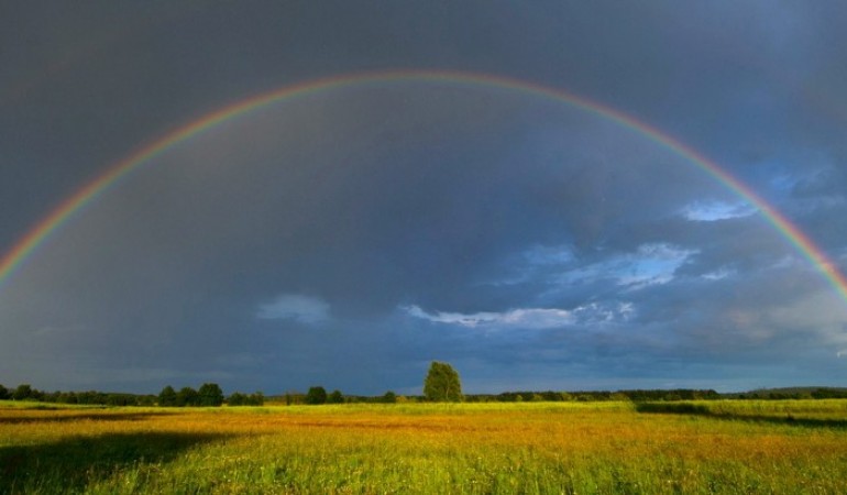 Wie entsteht ein Regenbogen?