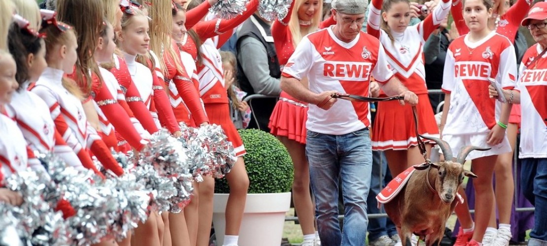 Hennes auf dem roten Teppich