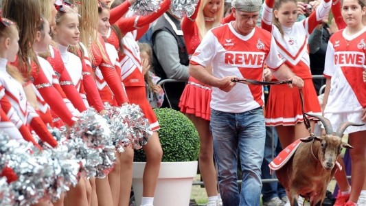 Hennes auf dem roten Teppich