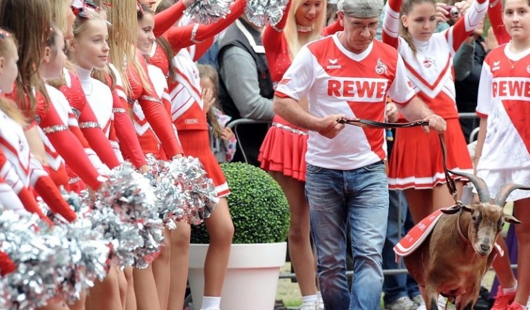 Hennes auf dem roten Teppich
