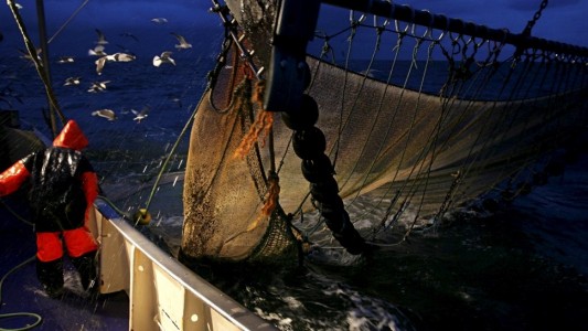 Geisternetze im Meer