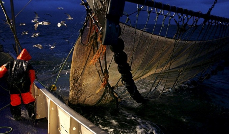 Geisternetze im Meer