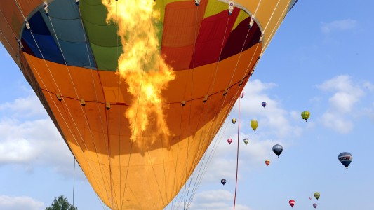 Ein Hammel eroberte den Himmel