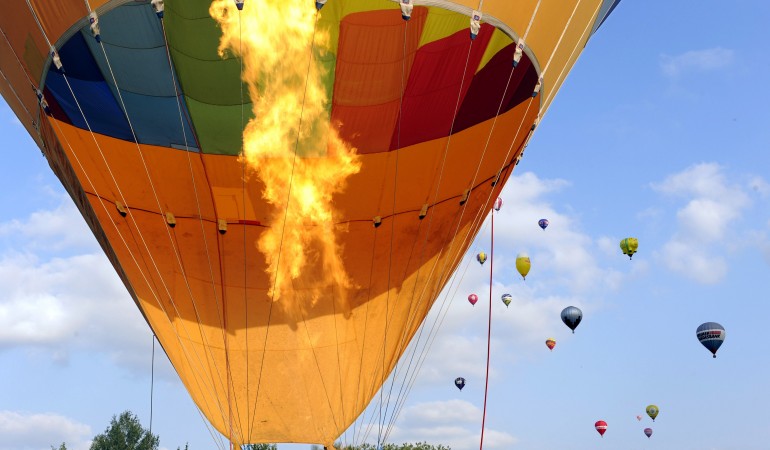 Ein Hammel eroberte den Himmel