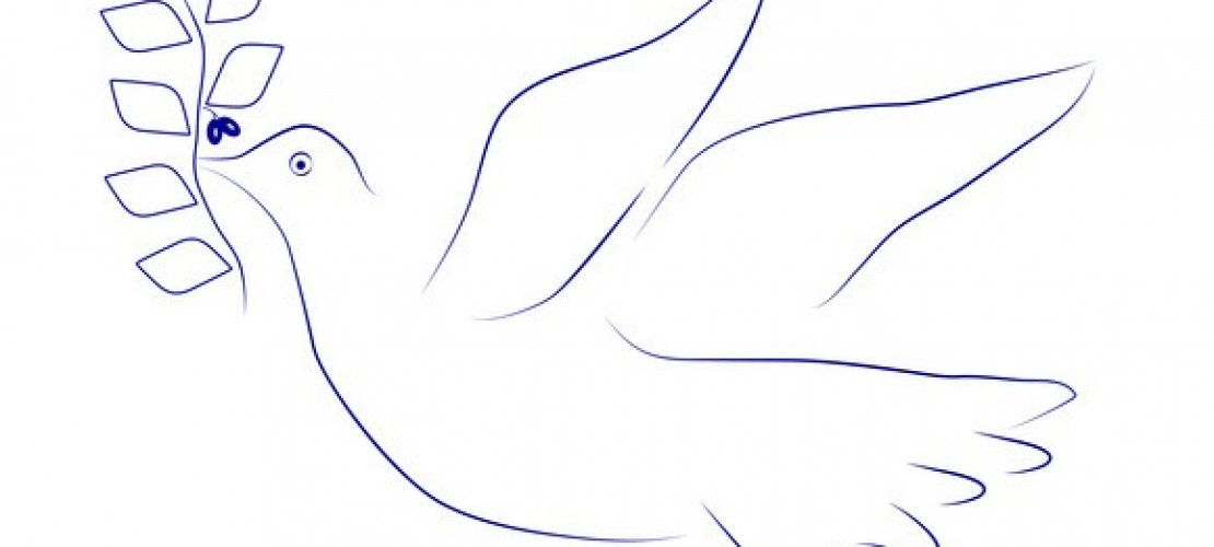 Wieso gibt es Kriege?