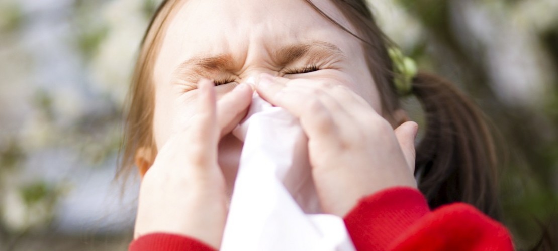 Warum müssen wir niesen?