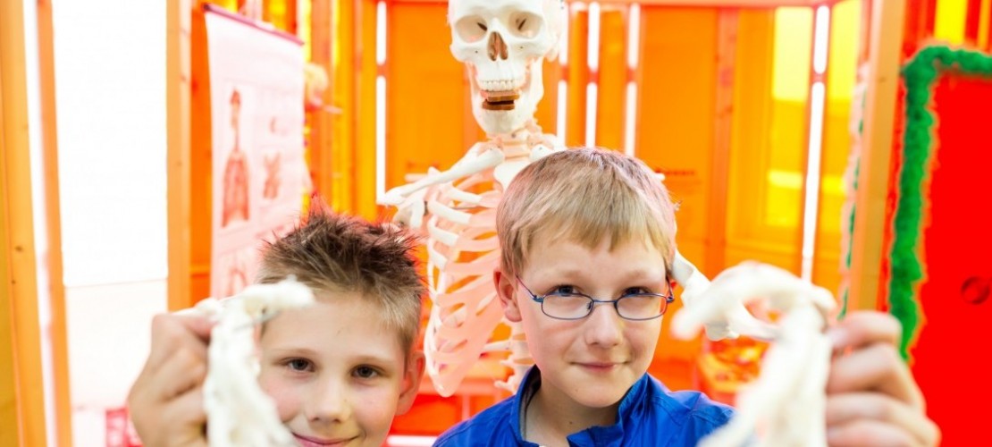 Wissenswertes rund um Knoschen