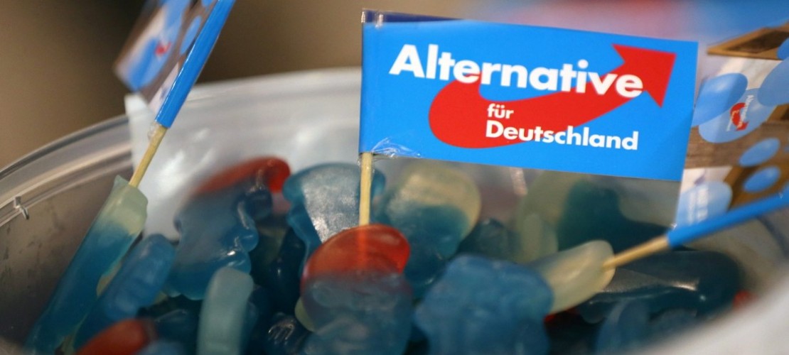Wofür steht die Partei AfD?