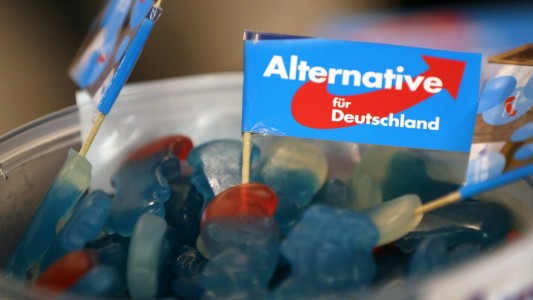 Wofür steht die Partei AfD?