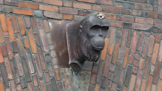 Tiere erzählen Kölner Geschichte