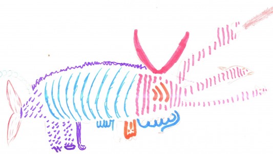 Eure ersten X-Tiere