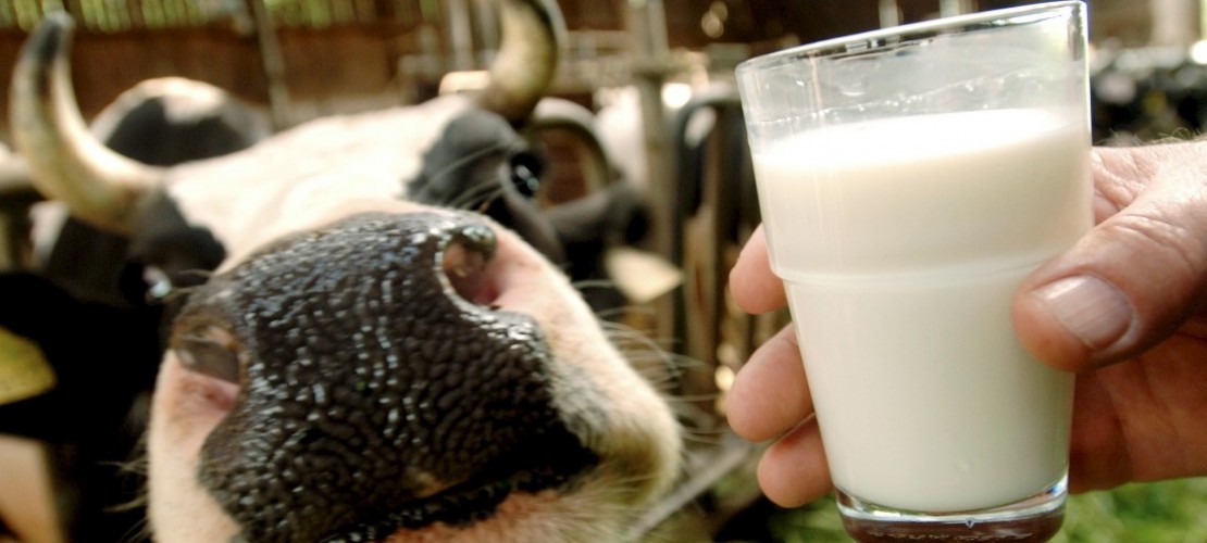 Wie kommt die Milch in die Tüte?