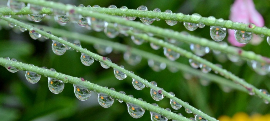 Warum halten Regentropfen?