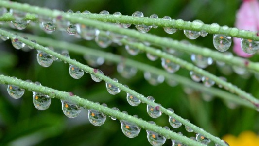 Warum fallen Regentropfen nicht runter?