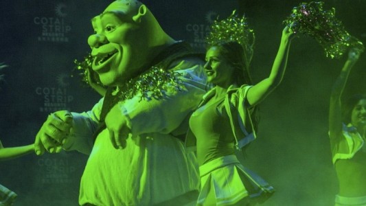 Grüner Musical-Star