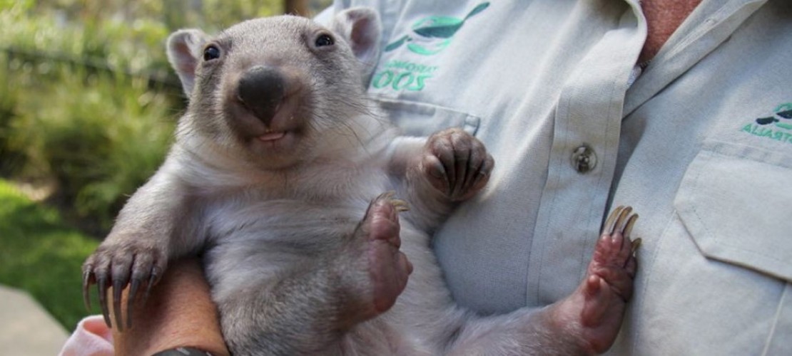 Chloe aus Australien