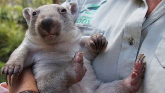 Chloe aus Australien