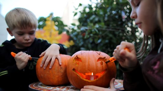 Raus hier: Kürbisfest und Rudern