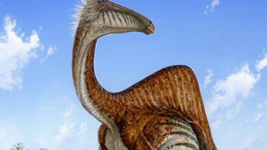 Dino mit Buckel