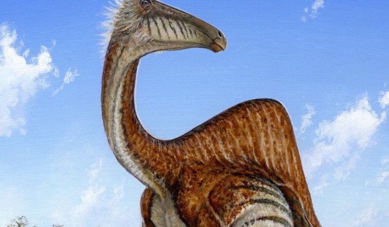 Dino mit Buckel