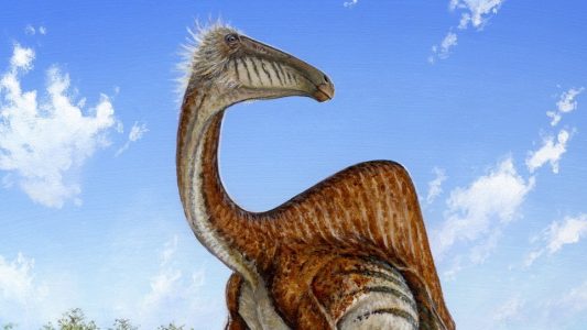 Gab es Dinos in Deutschland?