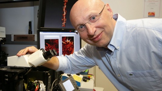 Nobelpreis für deutschen Forscher