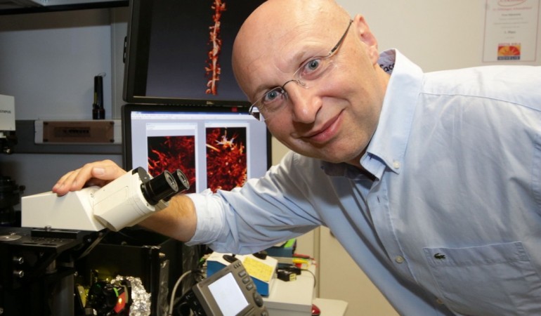 Nobelpreis für deutschen Forscher