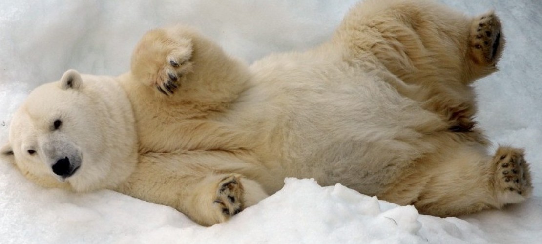 Ein Treffen für die Natur