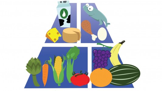 Wie ernähre ich mich richtig?