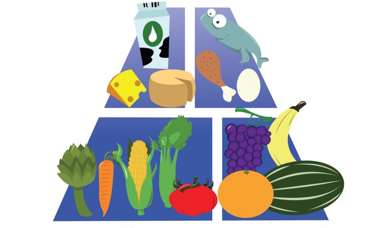 Wie ernähre ich mich richtig?