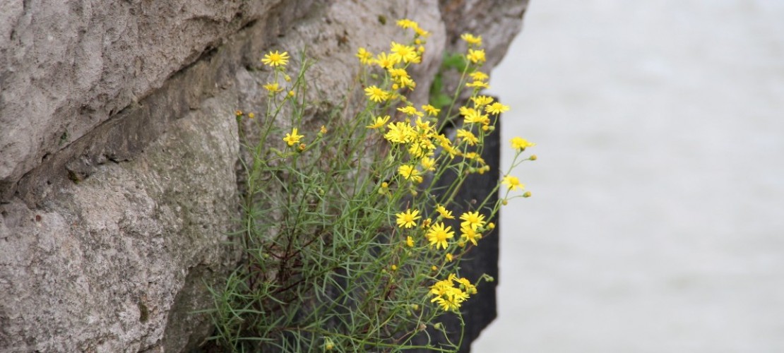 Station 5 Geo-Rätsel