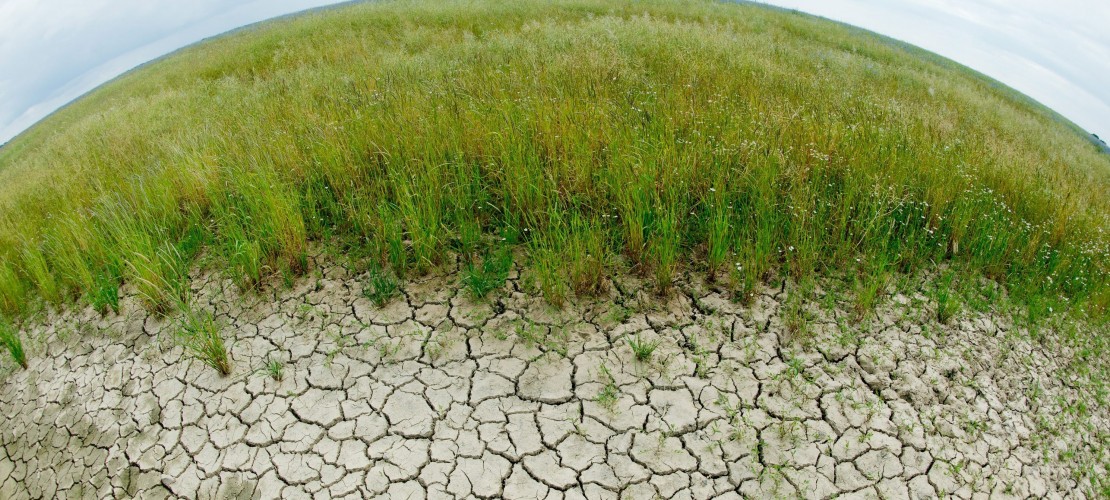 Was bedeutet IPCC?