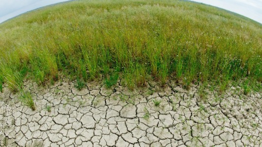 Was bedeutet IPCC?