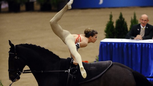 Was ist Voltigieren?