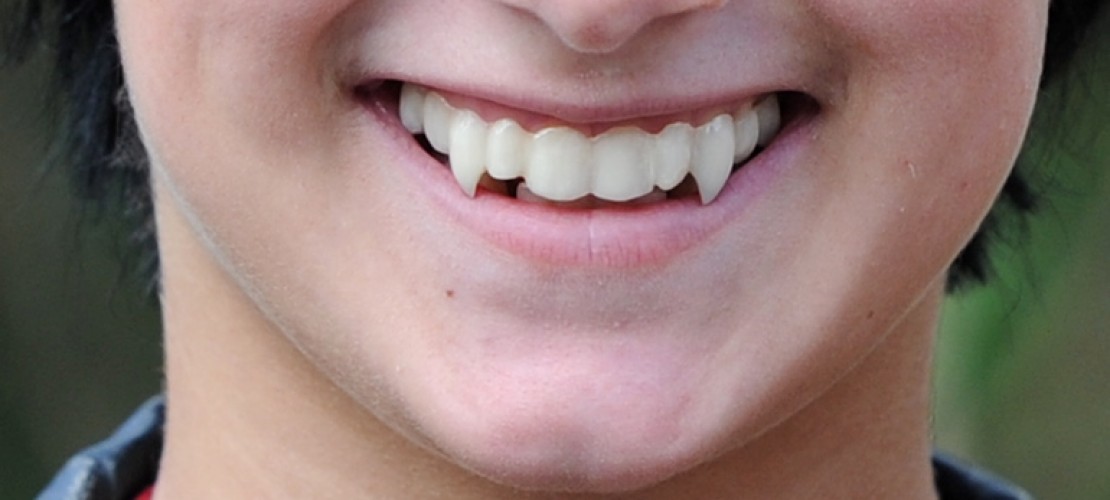 Von Dracula bis Twilight