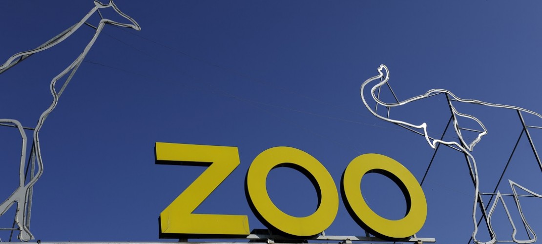 Der Kölner Zoo ist immer toll. Helenas Lieblingsort in Köln ist der Elefantenpark. (Foto: dpa)