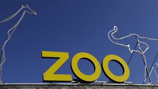 Der Kölner Zoo ist immer toll. Helenas Lieblingsort in Köln ist der Elefantenpark. (Foto: dpa)