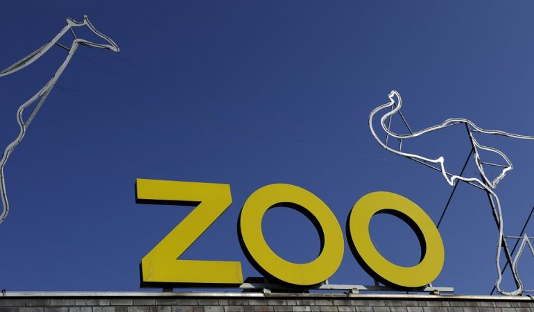 Der Kölner Zoo ist immer toll. Helenas Lieblingsort in Köln ist der Elefantenpark. (Foto: dpa)