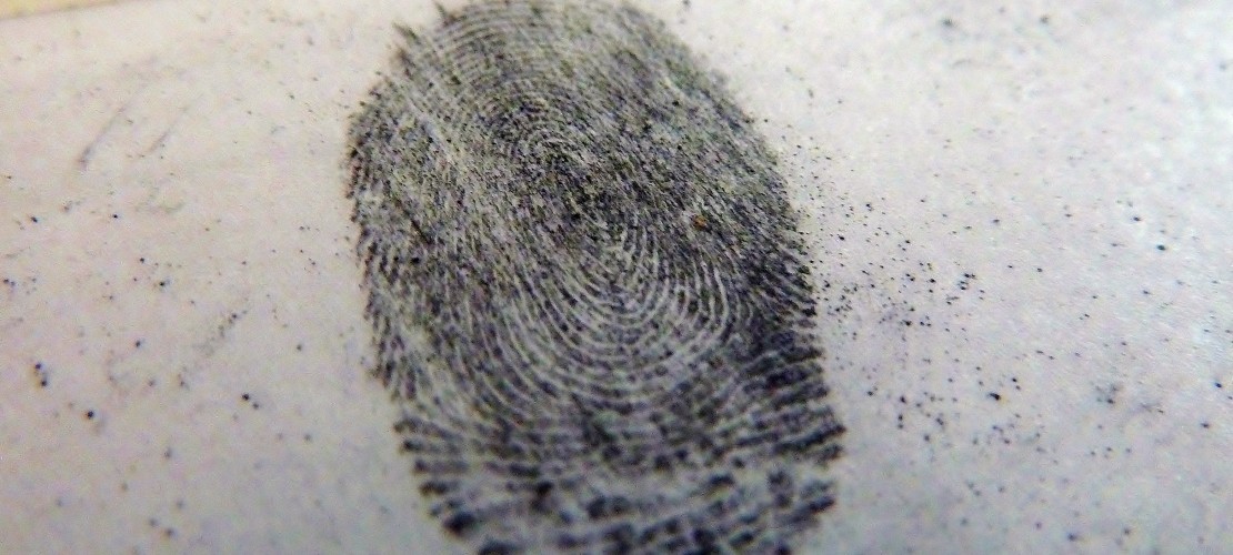 Was ist das Besondere am Fingerabdruck?