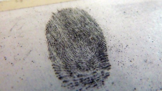 Was ist das Besondere am Fingerabdruck?